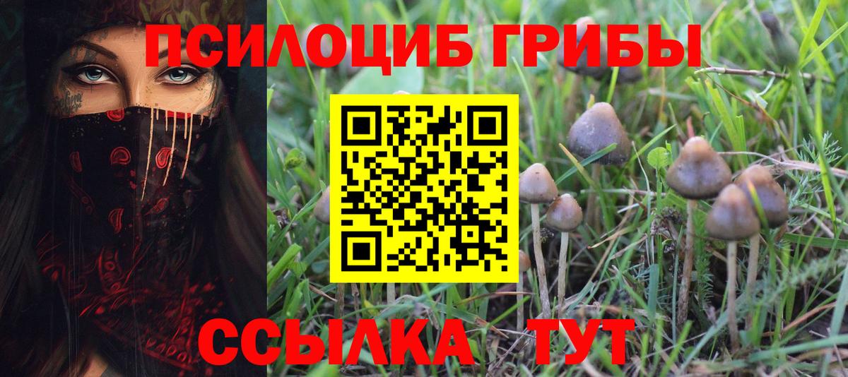 Псилоцибиновые грибы мицелий  Вход с VPN  Ишимбай 
